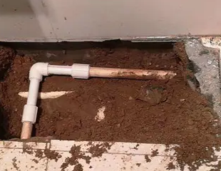 青浦测漏水哪家好